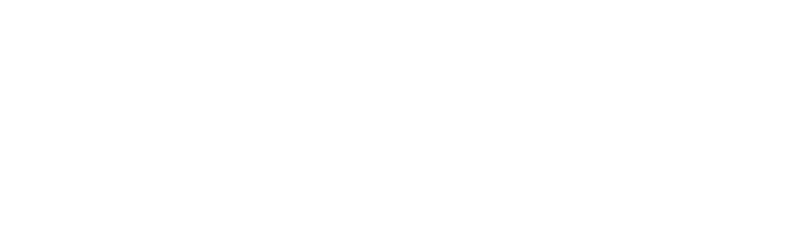 The Schoner Logo Snow White